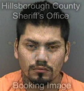 Martinezgarcia Jose - Hillsborough County, Florida 