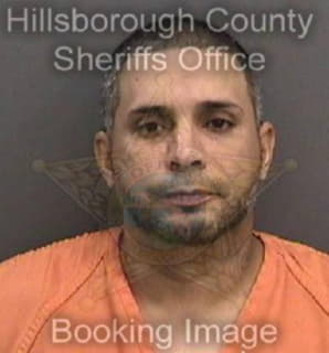 Vazquez Luis - Hillsborough County, Florida 