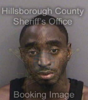 Ward Christopher - Hillsborough County, Florida 