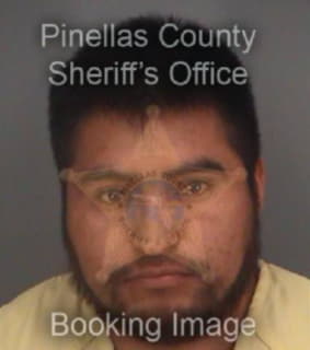 Hernandezlopez Eugenio - Pinellas County, Florida 