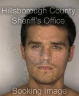 Mcgrorty James - Hillsborough County, Florida 