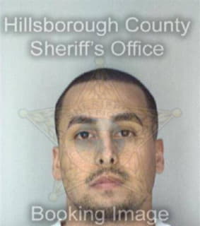 Hernandez Alexander - Hillsborough County, Florida 