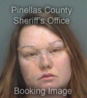 Dettmer Devon - Pinellas County, Florida 