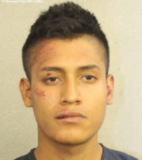 Jimenez Yoel - Broward County, Florida 