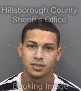 Mauromorales Jose - Hillsborough County, Florida 