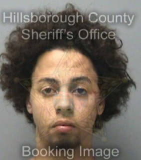 Nina Mario - Hillsborough County, Florida 