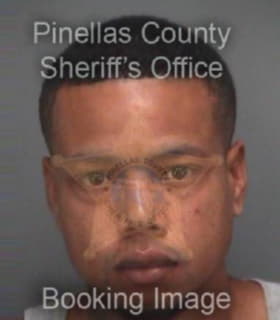 Mcdaniel Raynard - Pinellas County, Florida 