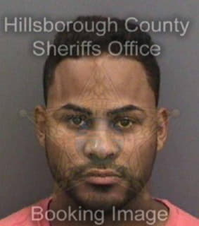 Mirabal Hisham - Hillsborough County, Florida 