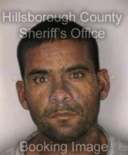 Dejesus Jesus - Hillsborough County, Florida 