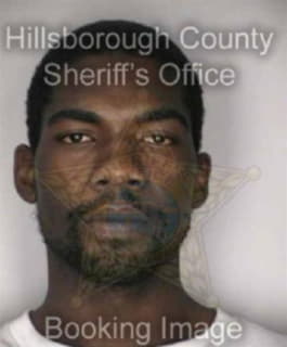 Dennis Shannon - Hillsborough County, Florida 