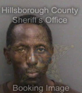 Wilson Zebel - Hillsborough County, Florida 