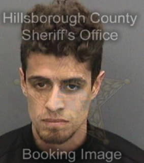 Florez Andres - Hillsborough County, Florida 