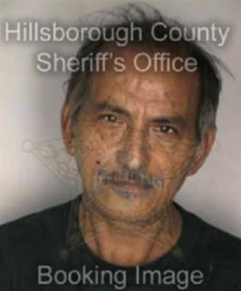 Rodriguezflores Gernard - Hillsborough County, Florida 