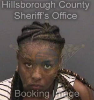 Kirkland Rayjene - Hillsborough County, Florida 