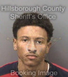 Lawrence Tellis - Hillsborough County, Florida 