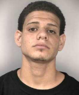 Lebron Alberto - Hillsborough County, Florida 