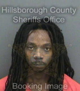 Mobley Devin - Hillsborough County, Florida 