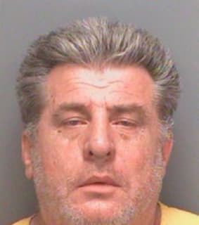 Knezevic Goran - Pinellas County, Florida 