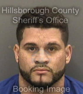 Rodriguez Juan - Hillsborough County, Florida 