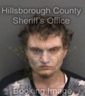 Mendez Matthew - Hillsborough County, Florida 