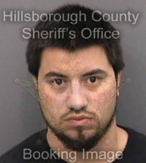 Cardenas Aaron - Hillsborough County, Florida 