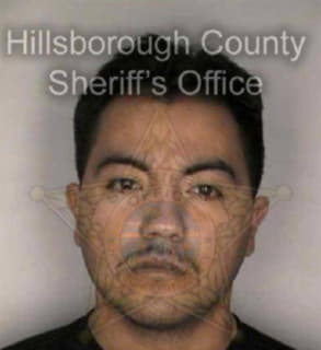 Arreguinortiz Jose - Hillsborough County, Florida 