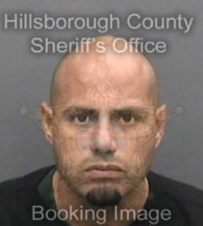 Leontorres Luis - Hillsborough County, Florida 