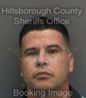 Perezledsma Reiner - Hillsborough County, Florida 