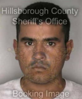 Rodriguez Jesus - Hillsborough County, Florida 