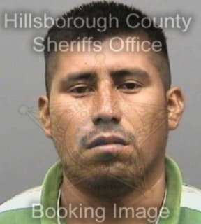 Luis Jesus - Hillsborough County, Florida 