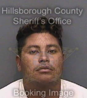 Rodriguez Yesfry - Hillsborough County, Florida 