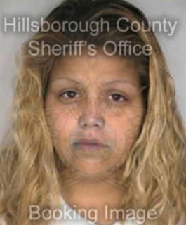 Dejesus Carmen - Hillsborough County, Florida 