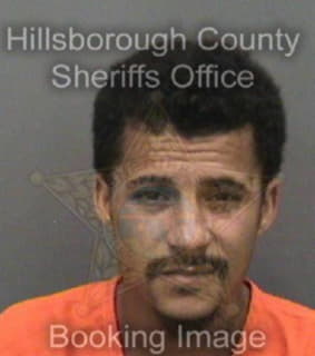 Daves Kristopher - Hillsborough County, Florida 