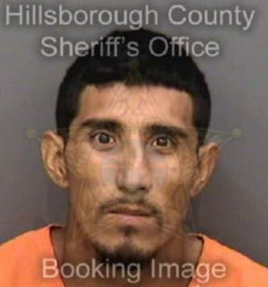 Cruz Luis - Hillsborough County, Florida 