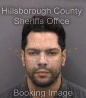 Martinezviera Roy - Hillsborough County, Florida 