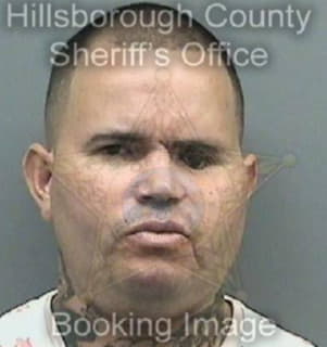 Collazo Luis - Hillsborough County, Florida 