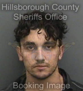 Lanese Michael - Hillsborough County, Florida 