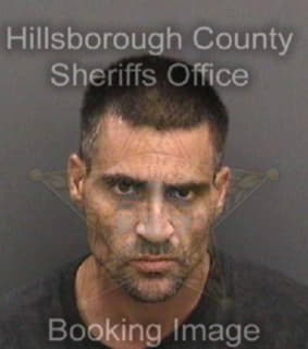 Sava Robert - Hillsborough County, Florida 