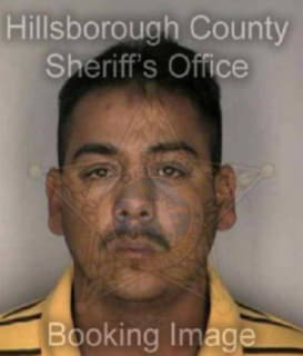 Lozano Ramon - Hillsborough County, Florida 