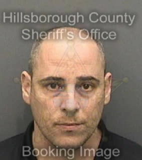 Cohen Brian - Hillsborough County, Florida 