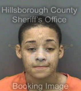 Davidson Chanelle - Hillsborough County, Florida 