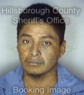 Aguilar Felipe - Hillsborough County, Florida 