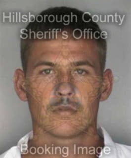 Collins Otis - Hillsborough County, Florida 