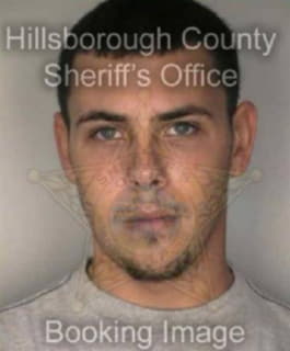 Renney Steven - Hillsborough County, Florida 