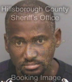 Williams Eric - Hillsborough County, Florida 