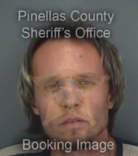 Hendrickson Richard - Pinellas County, Florida 