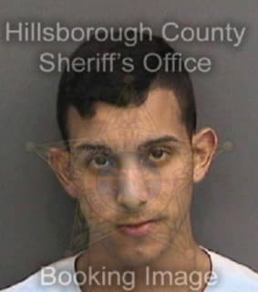 Vazqueztorres Ezequiel - Hillsborough County, Florida 