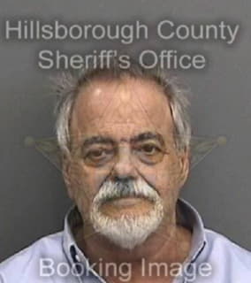 Perez Lenin - Hillsborough County, Florida 