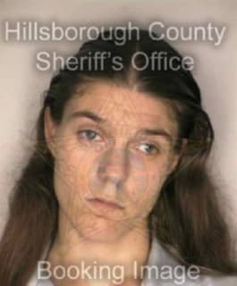 Pearson Michelle - Hillsborough County, Florida 