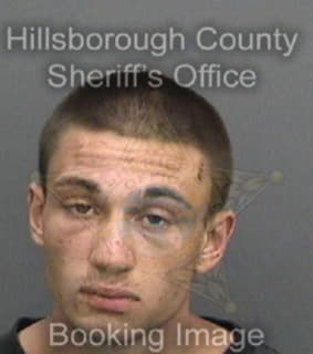 Cowens Alexander - Hillsborough County, Florida 